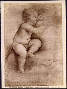 Disegno - Studio di putto che dorme - Cesare da Sesto - Torino - Biblioteca Reale - inv. n. 15988 D.C.