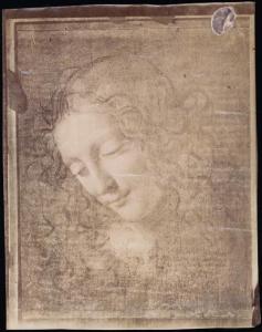 Disegno - Testa di fanciulla (La Scapiliata) - Leonardo da Vinci - Parma - Galleria Nazionale