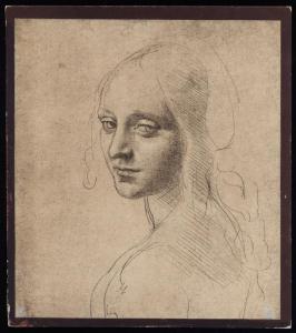 Disegno - Studio per il volto di fanciulla - Leonardo da Vinci - Torino - Biblioteca Reale - inv. 15572 D.C. recto