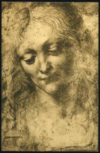 Disegno - Testa di donna - Maestro della Pala Sforzesca - Londra - British Museum - inv. 1895-9.15-475