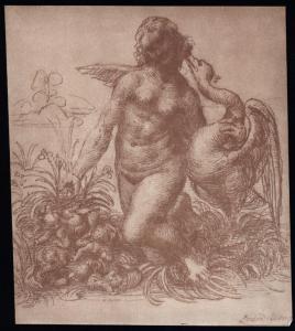 Disegno - Studio per la Leda e il cigno - Leonardo da Vinci - Chatsworth - Duke of Devonshire's House
