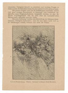 Pagina a stampa - Riproduzione del Gruppo di figure con espressioni grottesche di Leonardo da Vinci - Windsor - Royal Library