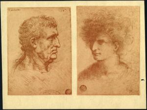 Disegno - Testa d'uomo di profilo e testa di giovane - Leonardo da Vinci e Giovanni Agostino da Lodi (rispettivamente) - Venezia - Gallerie dell'Accademia - inv. 264 - inv. 262
