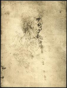 Disegno - Studio per testa d'uomo di profilo e del gruppo con la Vergine, Sant'Anna e il Bambino - Leonardo da Vinci - Londra - British Museum - 1875,0612.17 verso