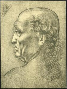 Disegno - Testa d'uomo di profilo - Maestro della Pala Sfrozesca - Firenze - Uffizi - Gabinetto stampe e disegni - inv. 442 E