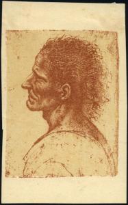 Disegno - Busto d'uomo di profilo - Giovanni Agostino da Lodi - Milano - Biblioteca Ambrosiana - F. 274 inf. 6