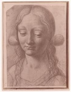 Disegno - Testa di donna - Maestro della Pala Sforzesca - Roma - Galleria Borghese - inv. 514