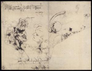 Disegno - Testa di vecchio di profilo e studi diversi - Leonardo da Vinci - Firenze - Gabinetto disegni e stampe degli Uffizi - inv. 446 E