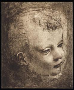 Disegno - Studio di testa di bambino - Giovanni Antonio Boltraffio - Parigi - Museo del Louvre - inv. 2347