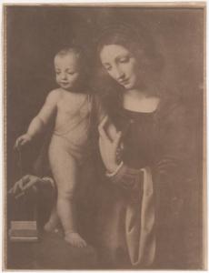 Dipinto - Madonna con Bambino - Bernardino Luini - Londra - Collezione Wellington, Apsley House