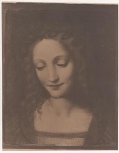 Dipinto - Testa di donna - da Bernardino Luini - Londra - Collezione Parry