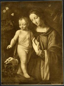Dipinto - Madonna con Bambino - Bernardino Luini - San Pietroburgo - Museo dell'Ermitage