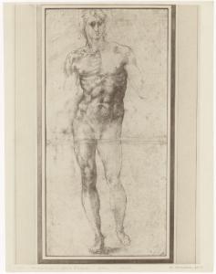 Disegno - Studio di nudo virile stante - Michelangelo Buonarroti - Parigi - Museo del Louvre - Dipartimento arti grafiche - RF 1068