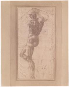 Disegno - Studio di nudo virile stante - Michelangelo Buonarroti - Parigi - Museo del Louvre