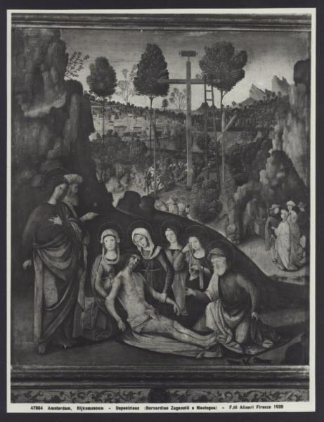Amsterdam - Rijksmuseum. Bernardino Zaganelli, Deposizione, olio su tavola.