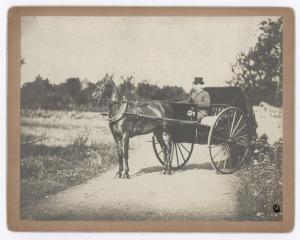 Ritratto maschile - Uomo su carrozza aperta trainata da un solo cavallo