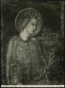 Assisi - Basilica inferiore di S. Francesco. Simone Martini, S. Elisabetta d'Ungheria, affresco (1322-26).