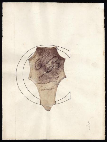 Capolettera con stemma lapideo visconteo/sforzesco - "Una mano armata di scure sopra un tronco d'albero"