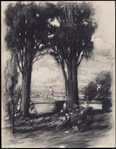 Disegno - Roma - Colle Palatino - Particolare di due alberi - Giuseppe Mentessi