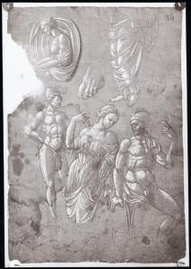 Disegno - Studi di sette figure mitologiche (Marte, Venere, Vulcano e altre figure) - Anonimo lombardo mantegnesco - Milano - Biblioteca Ambrosiana - inv. 265 inf. n. 91 recto