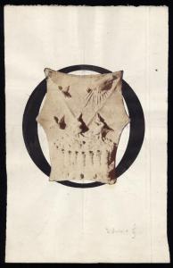 Capolettera con stemma lapideo visconteo/sforzesco - "La colomba radiata, che scende sopra un nido"