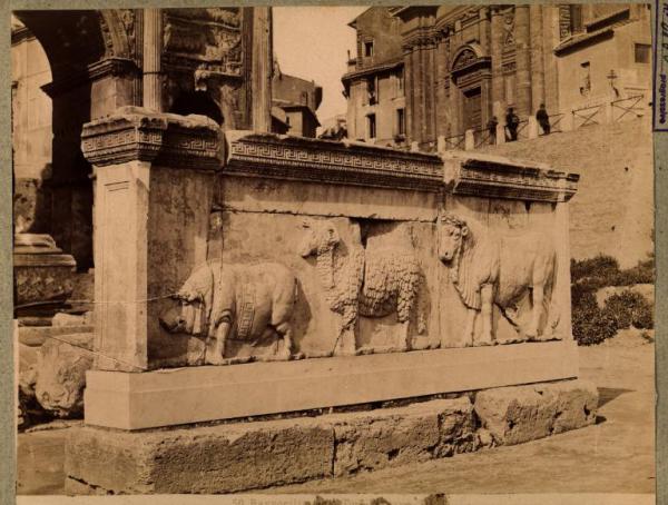 Roma - Foro Romano - Bassorilievo marmoreo con raffigurazioni di animali (Suovetaurilia ?)