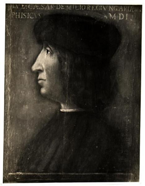 Dipinto - Anonimo lombardo - Ritratto del medico Cesare De Milio - Pavia - Castello Visconteo - Musei Civici - Pinacoteca Malaspina