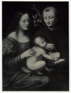 Milano [?] - Collezione privata - Giampietrino, Madonna con Bambino e Sant'Antonio, dipinto