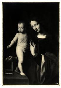 Vienna - Collezione Czernin - Bernardino Luini, Madonna con Bambino, olio su tavola