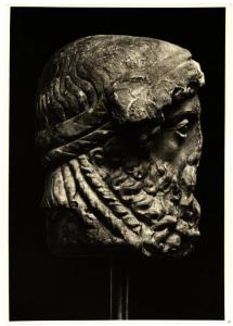 Milano - Raccolta M - Zanardi - Testa virile, profilo destro, scultura in pietra (II sec -)