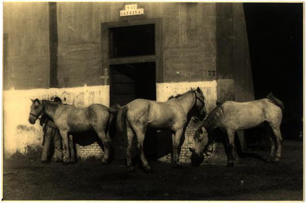 Milano - Castello Sforzesco. Latrina n° 57 con cavalli all'esterno.