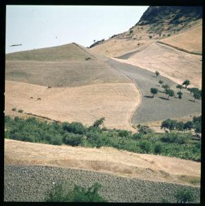 Calabria - Colline nei pressi di Strongoli - Campi coltivati