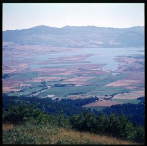 Calabria - Veduta - Lago Cecita - Campi coltivati
