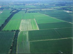 Vimercate. Terreno agricolo. Veduta aerea.