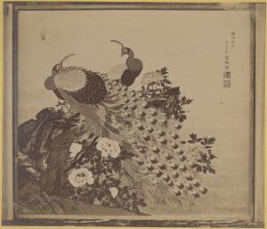 Due pavoni - Fiori - Peonie - Riproduzione di un dipinto giapponese su carta