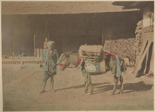 Giappone - Campagna - Villaggio - Un contadino ed un cavallo carico di riso