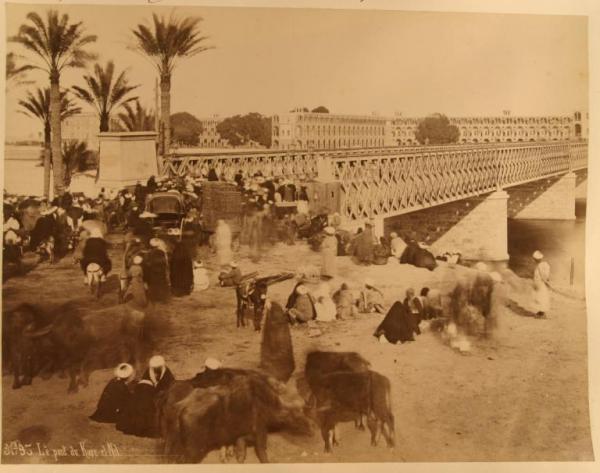 Egitto - Il Cairo - Nilo - Ponte sul fiume - Uomini e animali