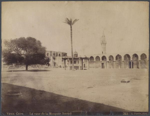 Egitto - Il Cairo - Moschea Amrou - Cortile - Palma - Minareto