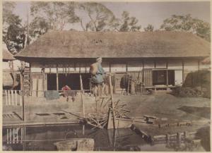 Giappone - Campagna - Fiume - Un uomo vicino alla riva di un canale aziona manualmente una ruota di mulino