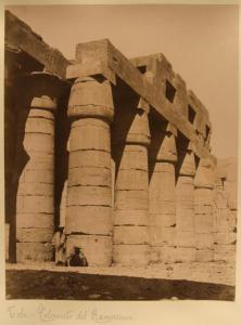 Egitto - Luxor - Necropoli di Tebe - Tempio funerario del faraone Ramses II - Ramesseum - Esterno - Colonnato - Capitelli lotiformi