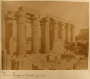 Egitto - Luxor - Tempio di Luxor - Colonnato - Colonne a forma di papiro