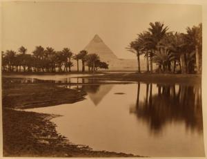 Egitto - Il Cairo dintorni - Piana di Giza - Oasi - Palme - Piramide di Chefren