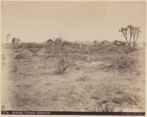 Eritrea - Arkiho - Pianura - Arbusti - Fortificazioni sullo sfondo