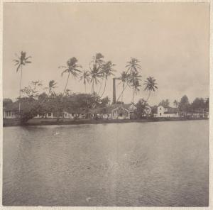 Sri Lanka - Colombo - Dintorni - Laguna