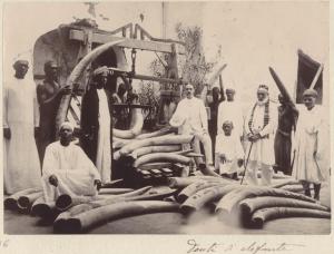 Ritratto di gruppo - Abitanti di Zanzibar - Militare in tenuta coloniale - Zanne d'elefante