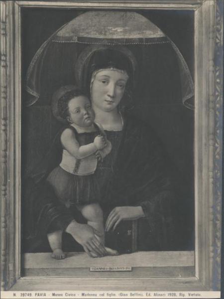Dipinto - Madonna con Bambino - Giovanni Bellini - Pavia - Castello Visconteo - Musei Civici