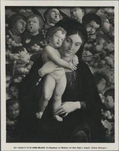 Dipinto - Andrea Mantegna - Madonna con Bambino - Madonna dei cherubini - Milano - Pinacoteca di Brera