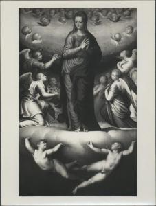 Dipinto - Madonna in gloria sorretta da due angeli - Bernardino Campi - Cremona - Museo Civico Ala Ponzone