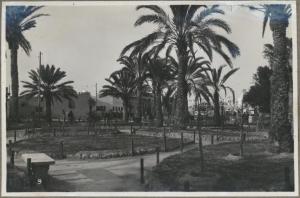 Libia - Tripoli - Fiera Campionaria - Giardini - Palme