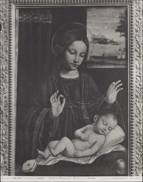 Dipinto - Bergognone - Madonna con Bambino - Madonna del velo - Milano - Pinacoteca di Brera